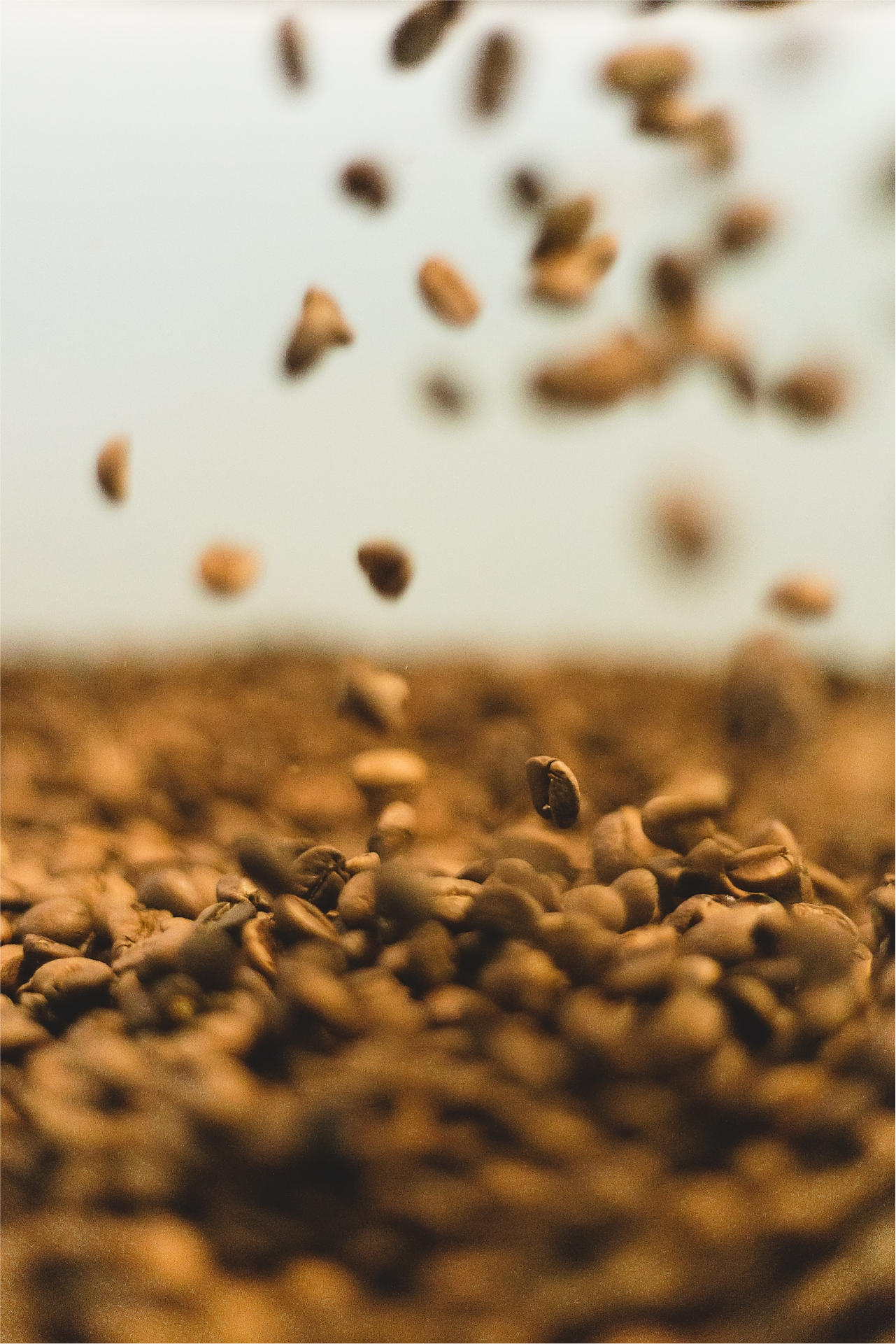 Key findings from coffee research study - Part 3